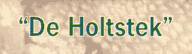 Logo De Holtstek